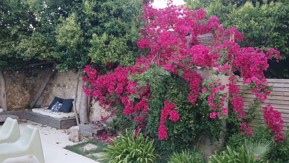 foto33