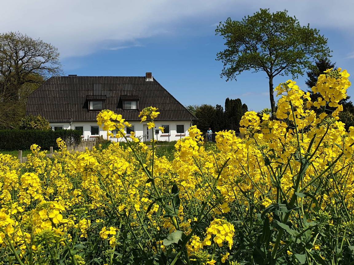 64 M² Apartamento ∙ 2 Habitaciones ∙ 4 Huéspedes - Kappeln