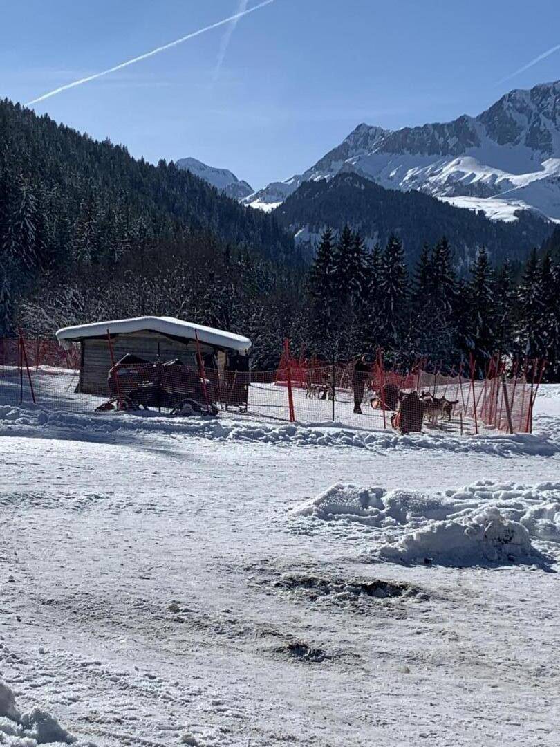 foto41