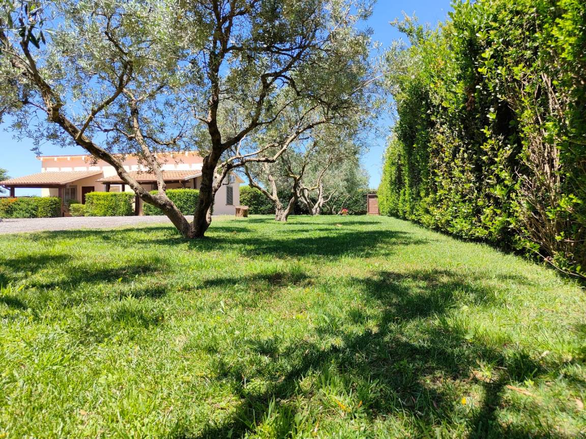 35 M² Agriturismo ∙ 1 Camera Da Letto ∙ 3 Ospiti - Capalbio
