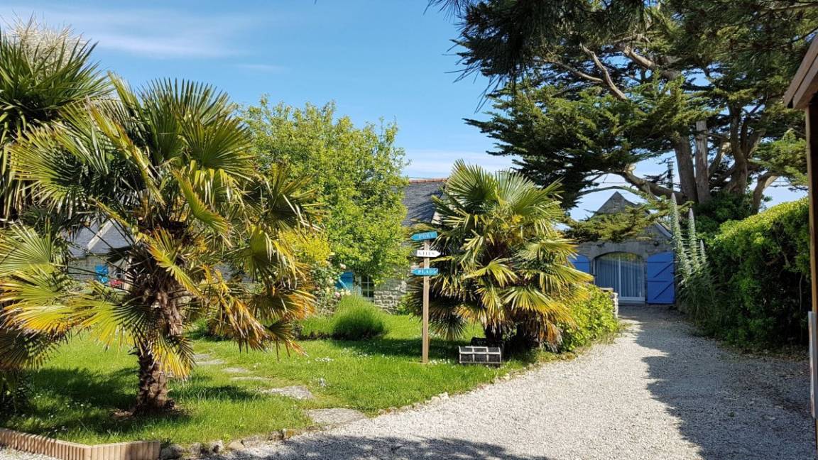 foto1
