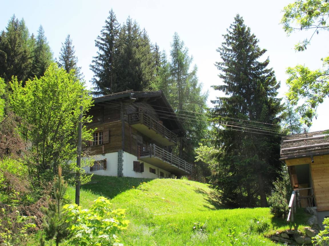 foto3