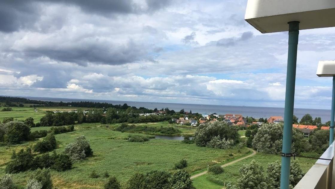 foto10