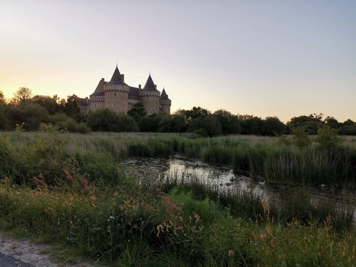 foto49