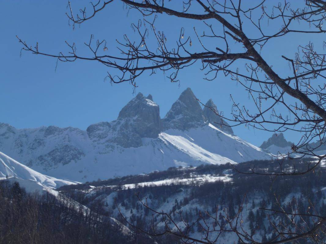 foto21