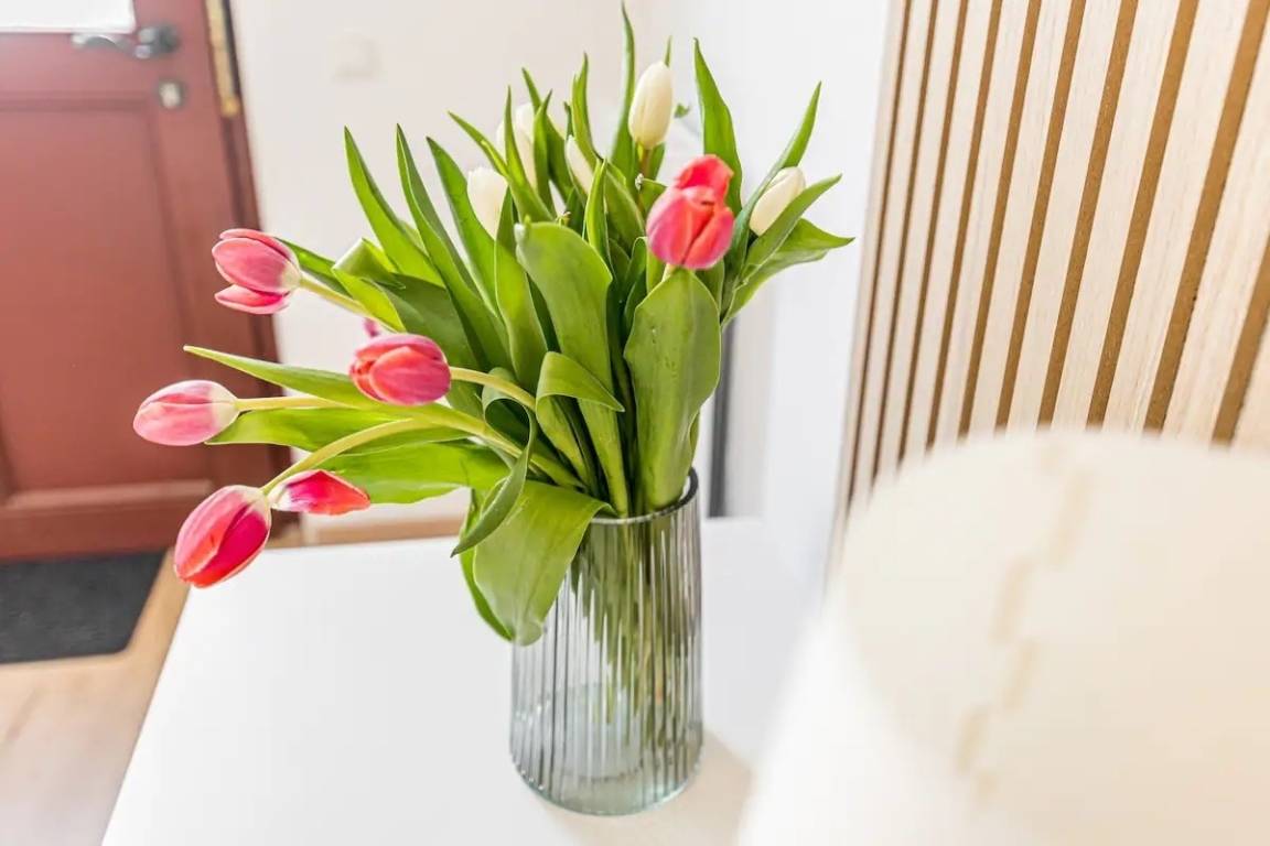 30 m² Ferienwohnung ∙ 2 Gäste – Bild 3