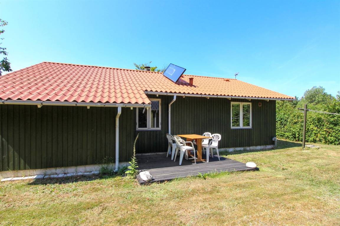 foto11