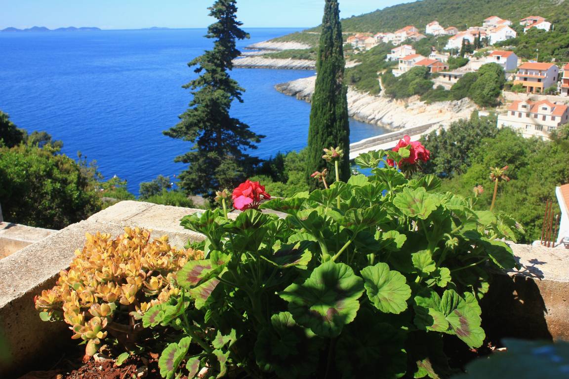 75 M² Ferienwohnung ∙ 3 Schlafzimmer ∙ 6 Gäste - Korčula