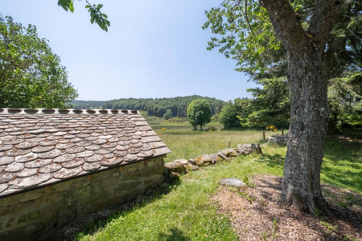 115 m² Gîte ∙ 3 Schlafzimmer ∙ 8 Gäste – Bild 20
