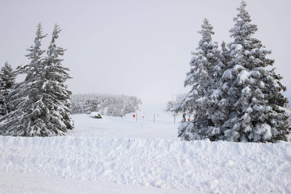 foto8