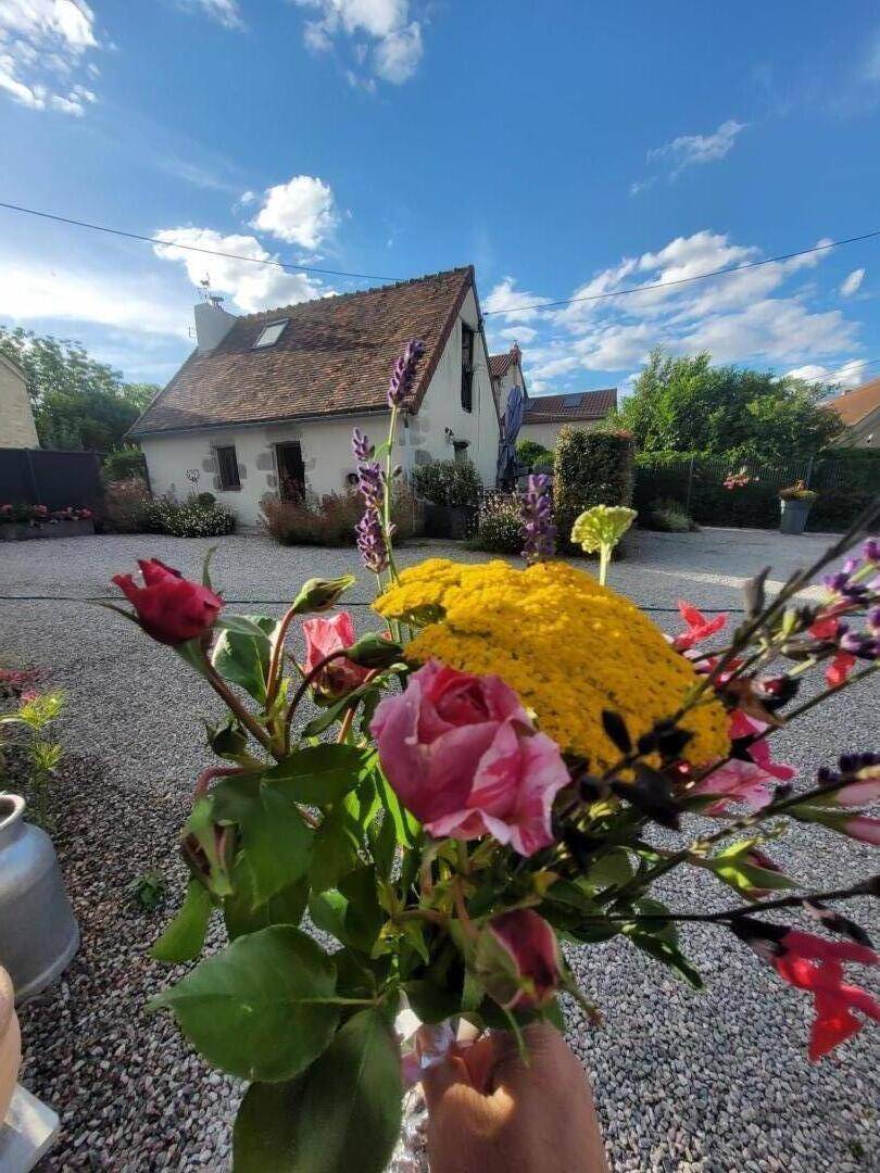foto1