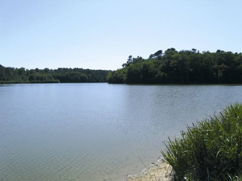 foto16