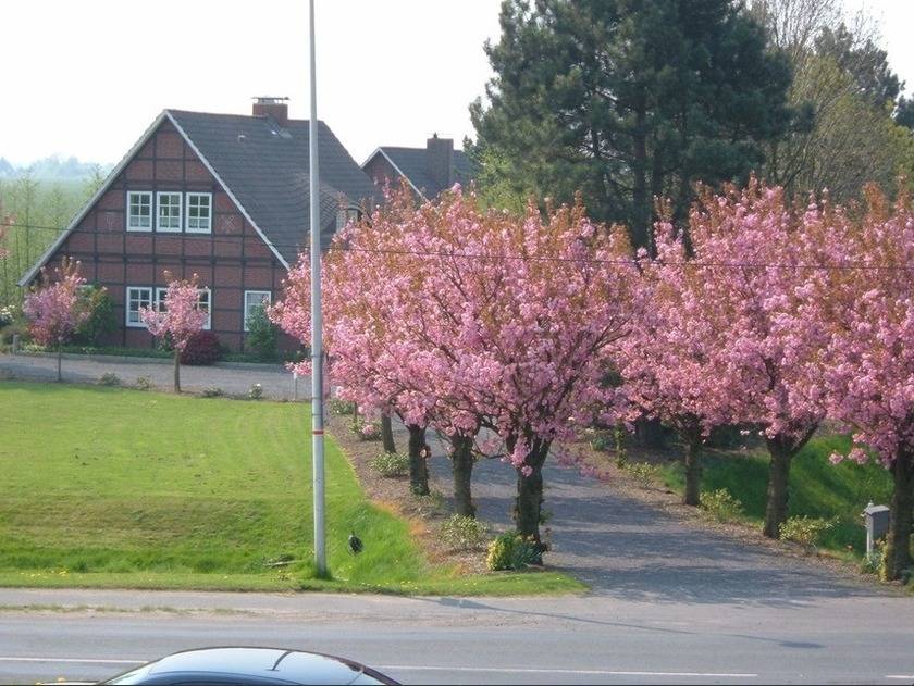 75 m² Ferienwohnung ∙ 2 Schlafzimmer ∙ 5 Gäste – Bild 12