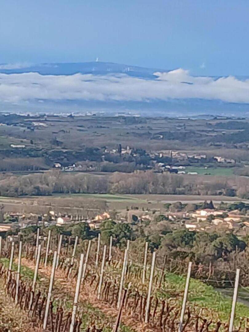 foto30