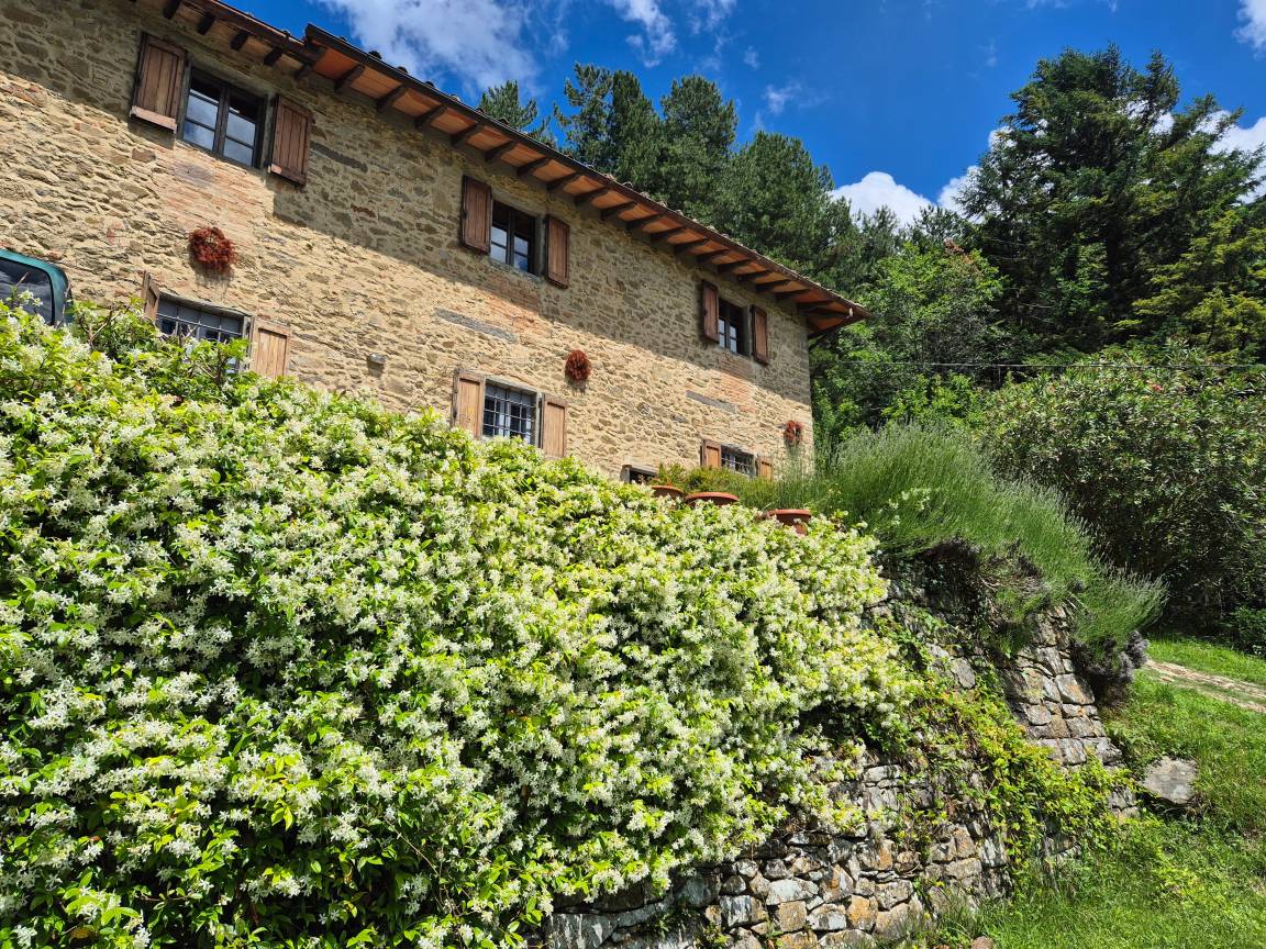 45 M² Chalet ∙ 1 Camera Da Letto ∙ 4 Ospiti - Mugello