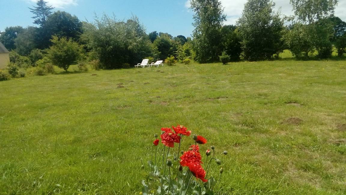 foto18