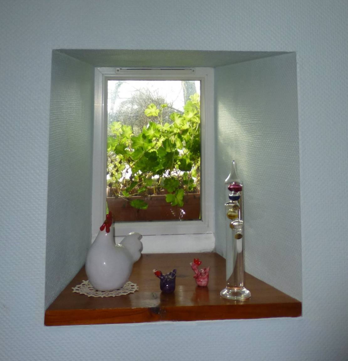 foto11