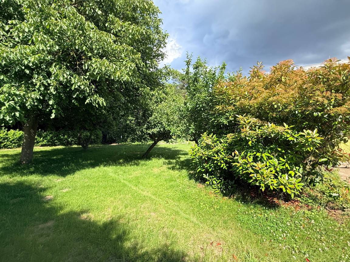 foto12