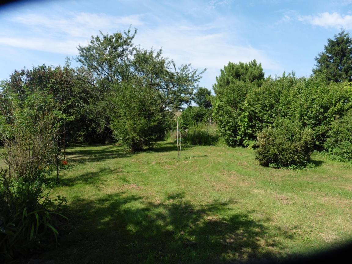 foto2