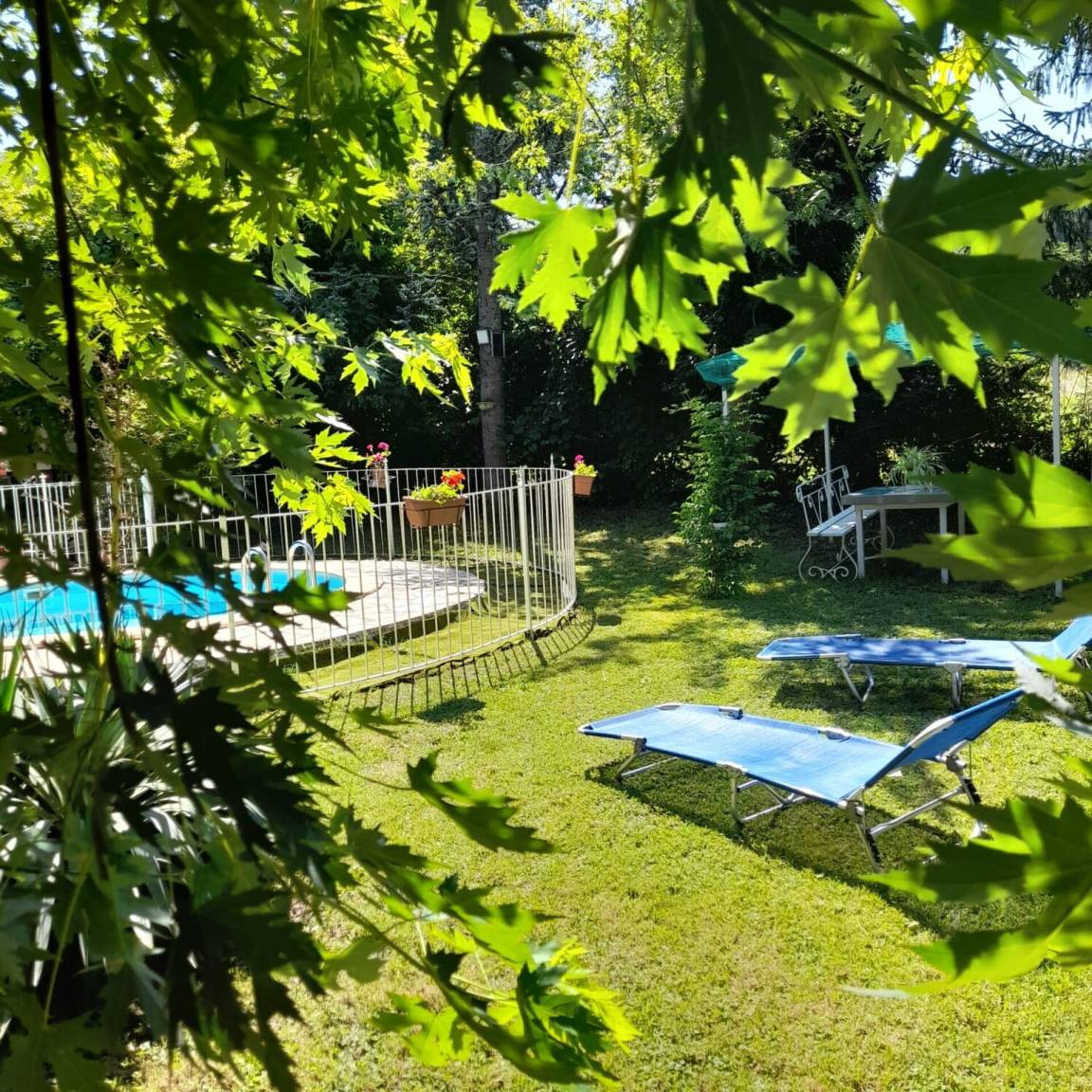 foto4