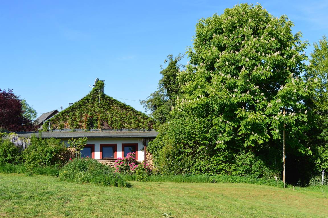 60 M² Apartment ∙ 1 Bedroom ∙ 2 Guests - Nürburg