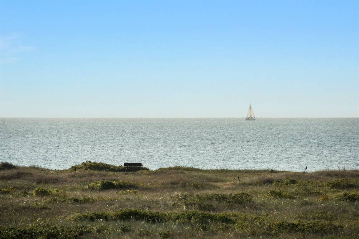 foto42