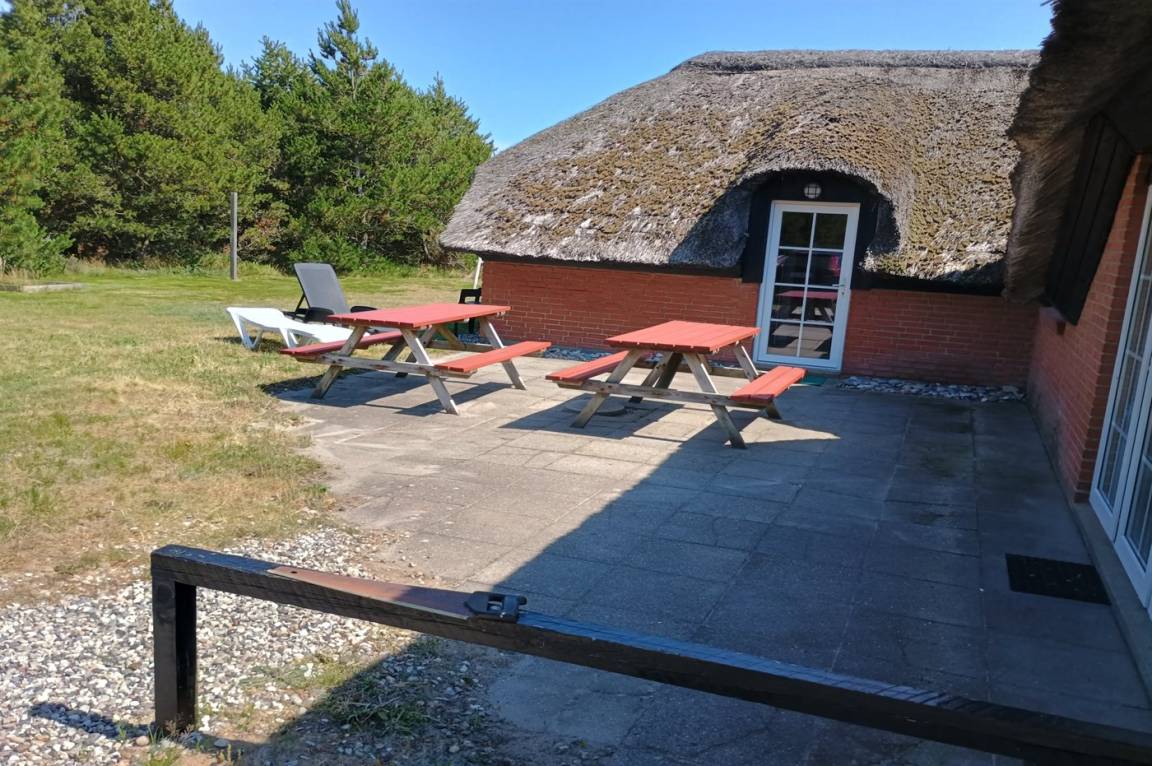 foto1