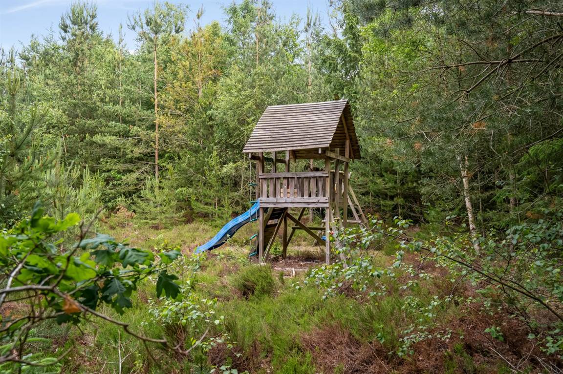 foto25
