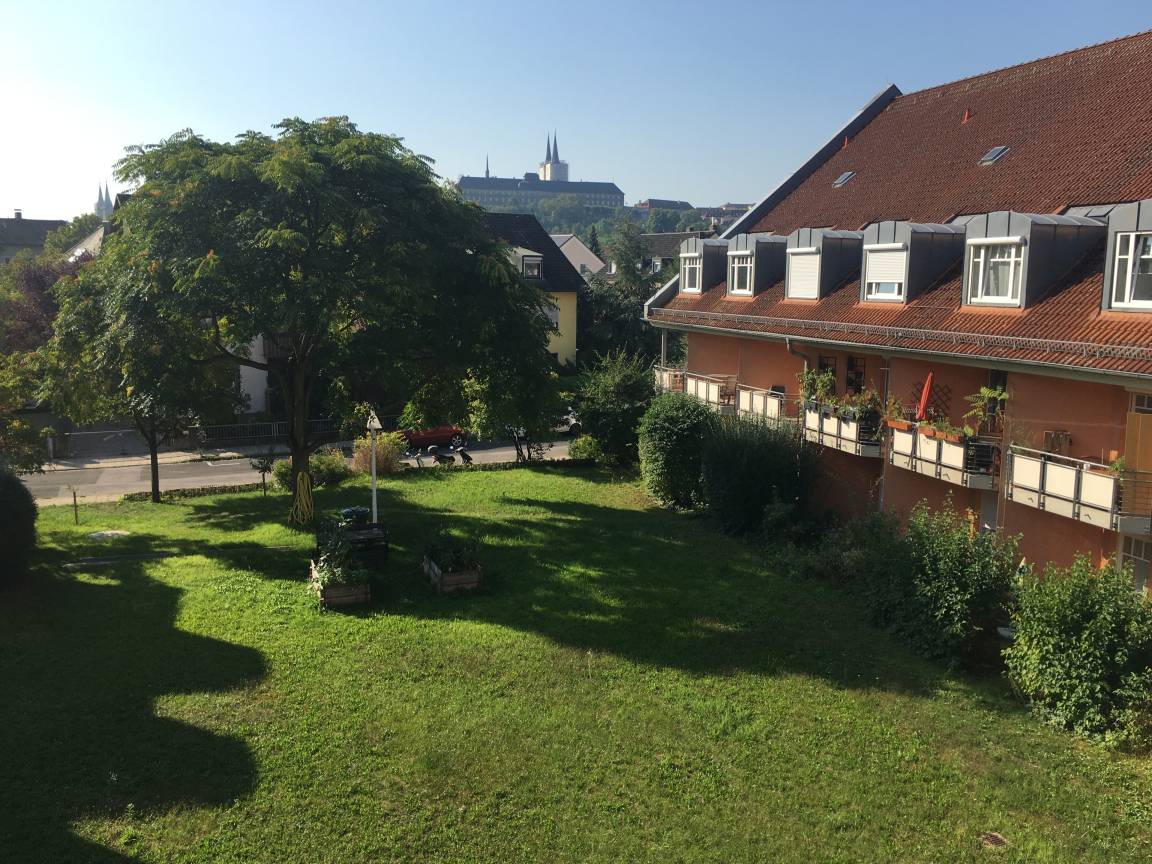 foto1