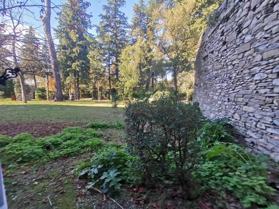 foto22
