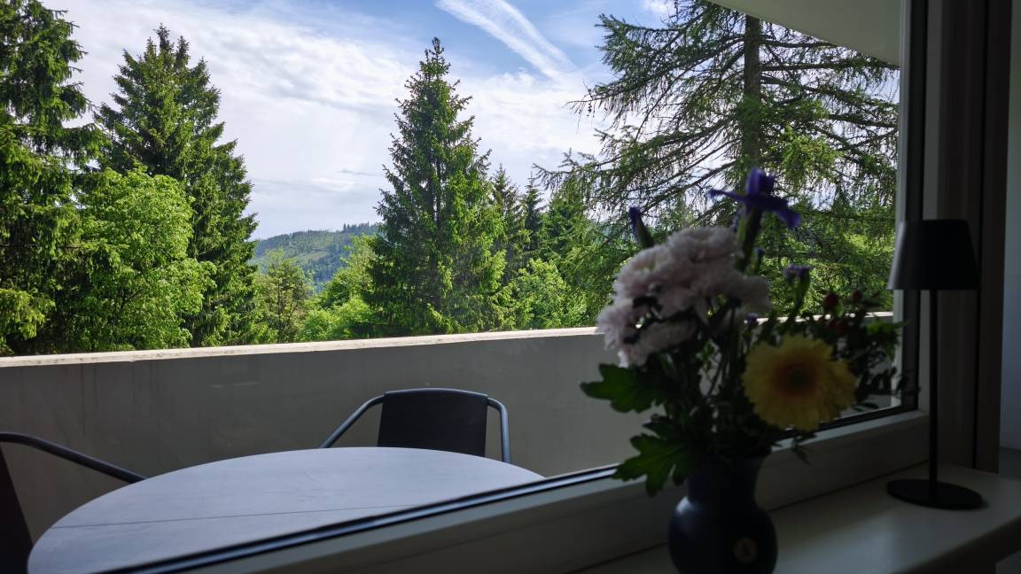 foto4