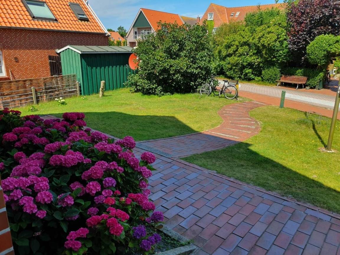 foto20