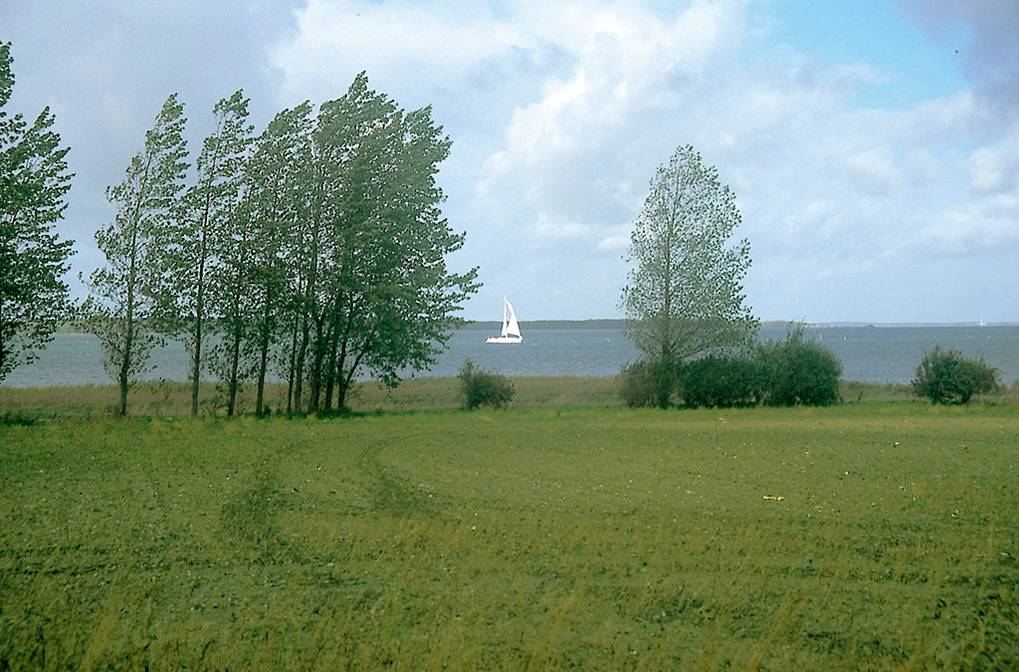foto18