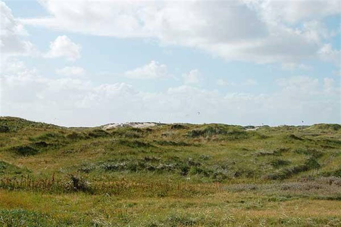 foto6