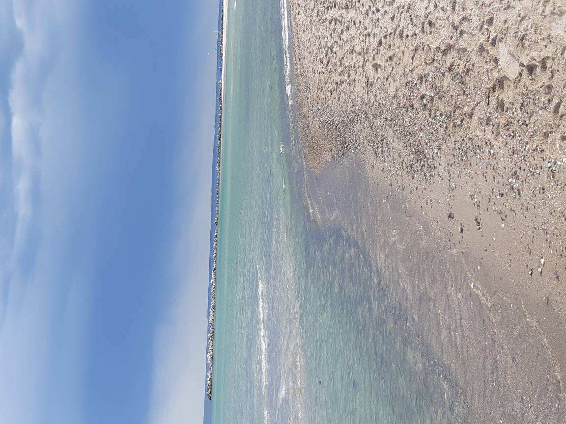 foto5