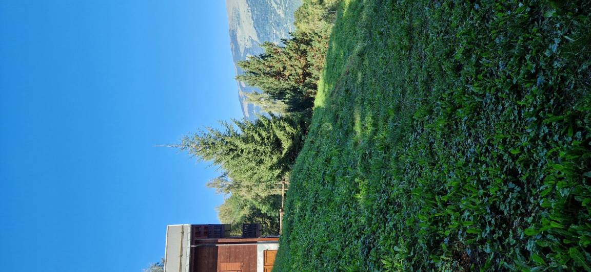 foto8