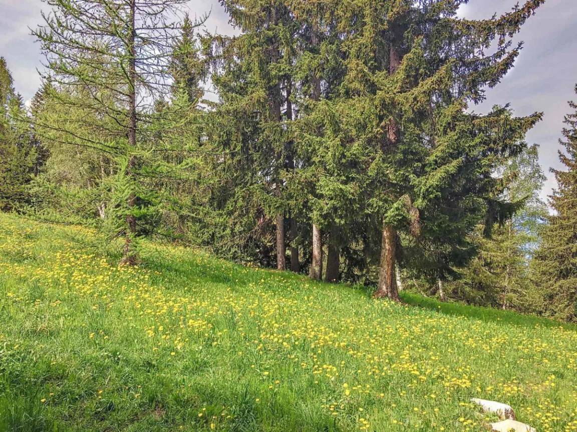 foto14