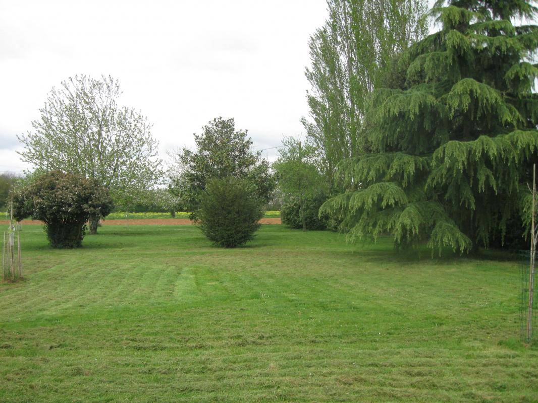 foto20
