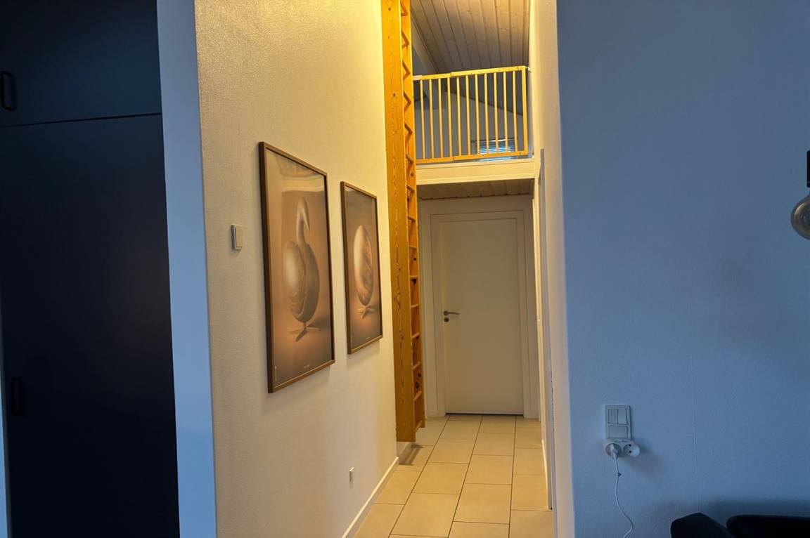 foto14