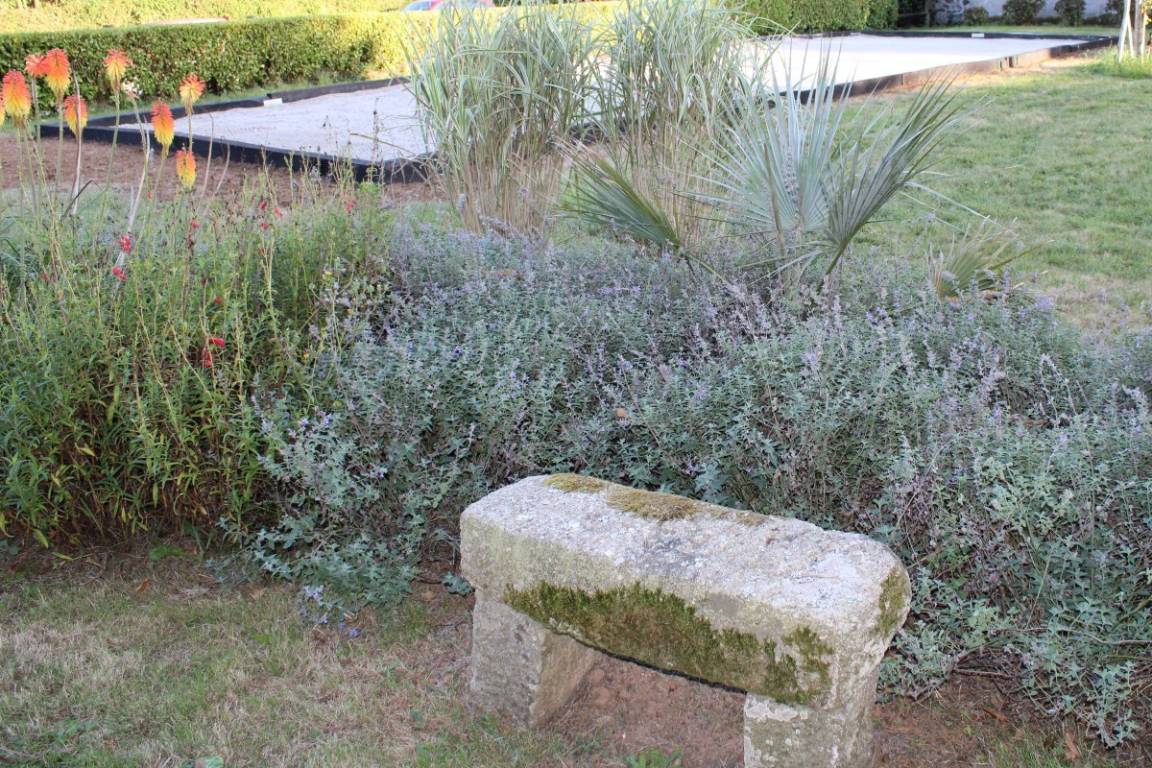 foto24