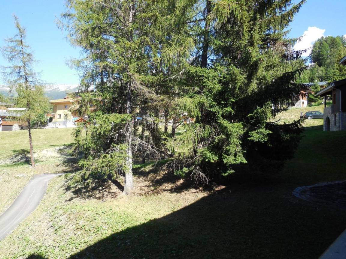 foto9
