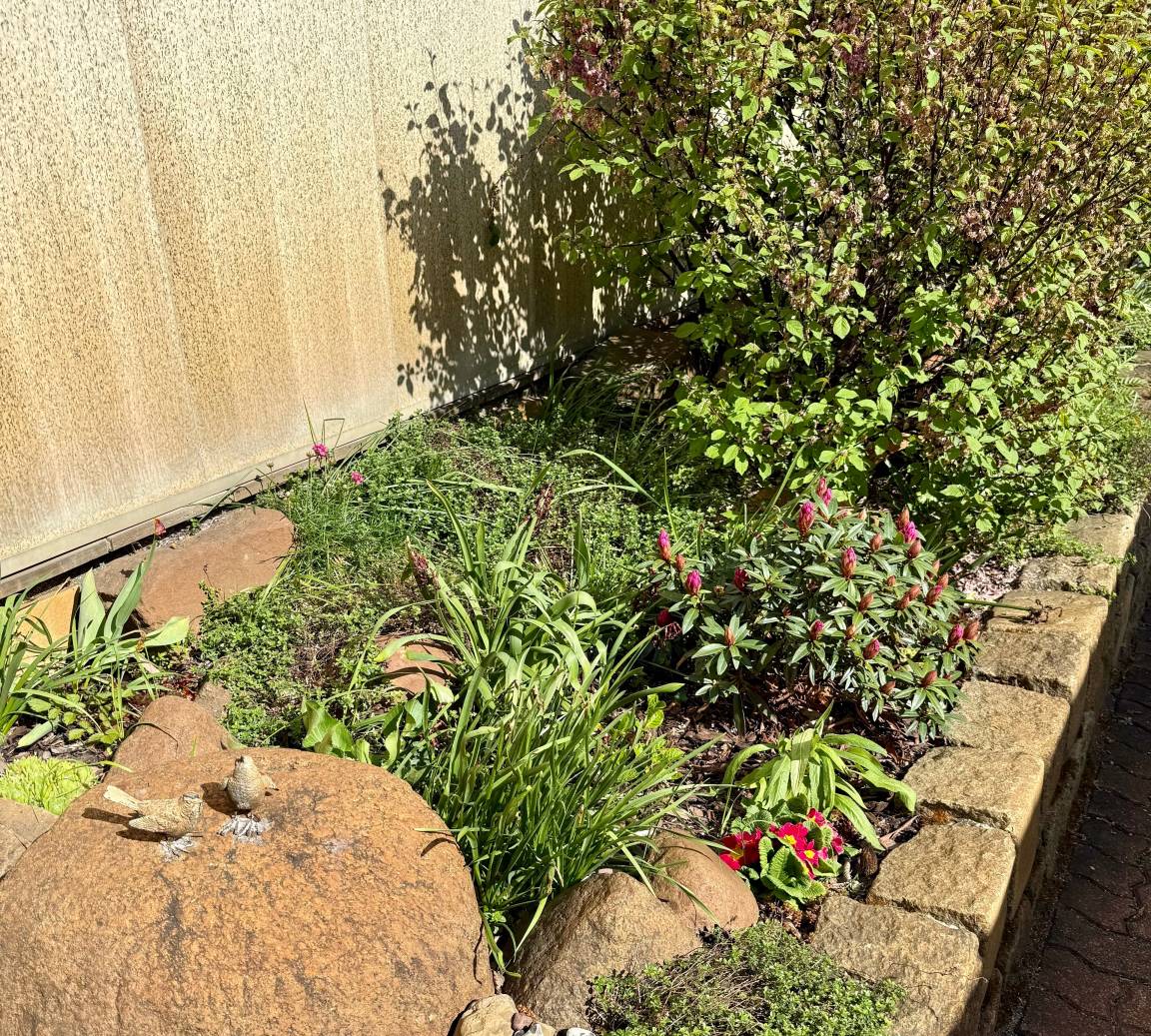 foto11