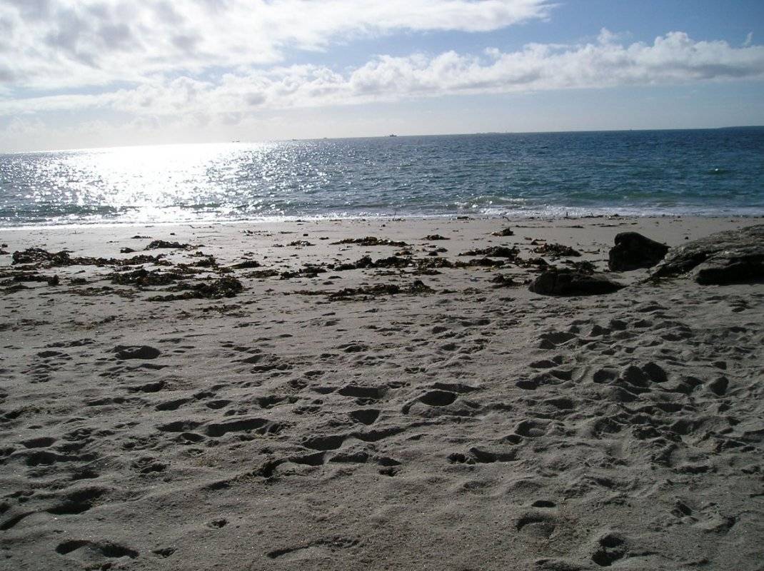 foto15