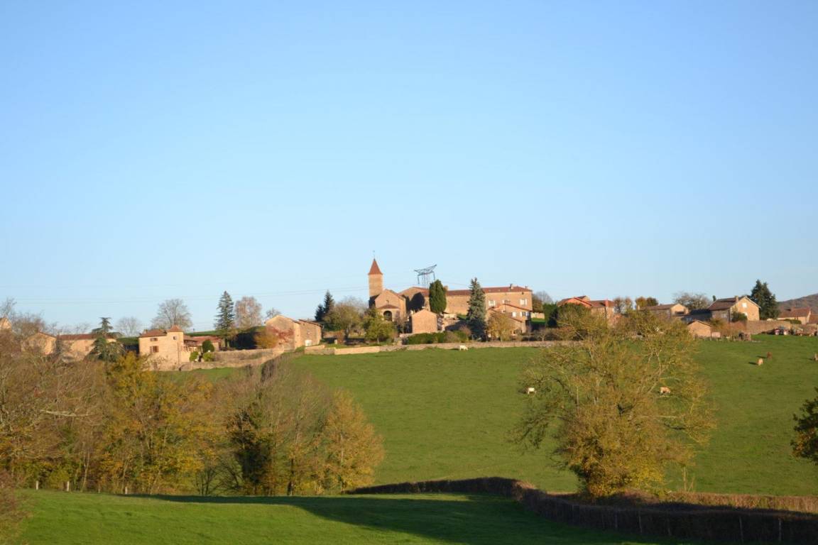 foto4