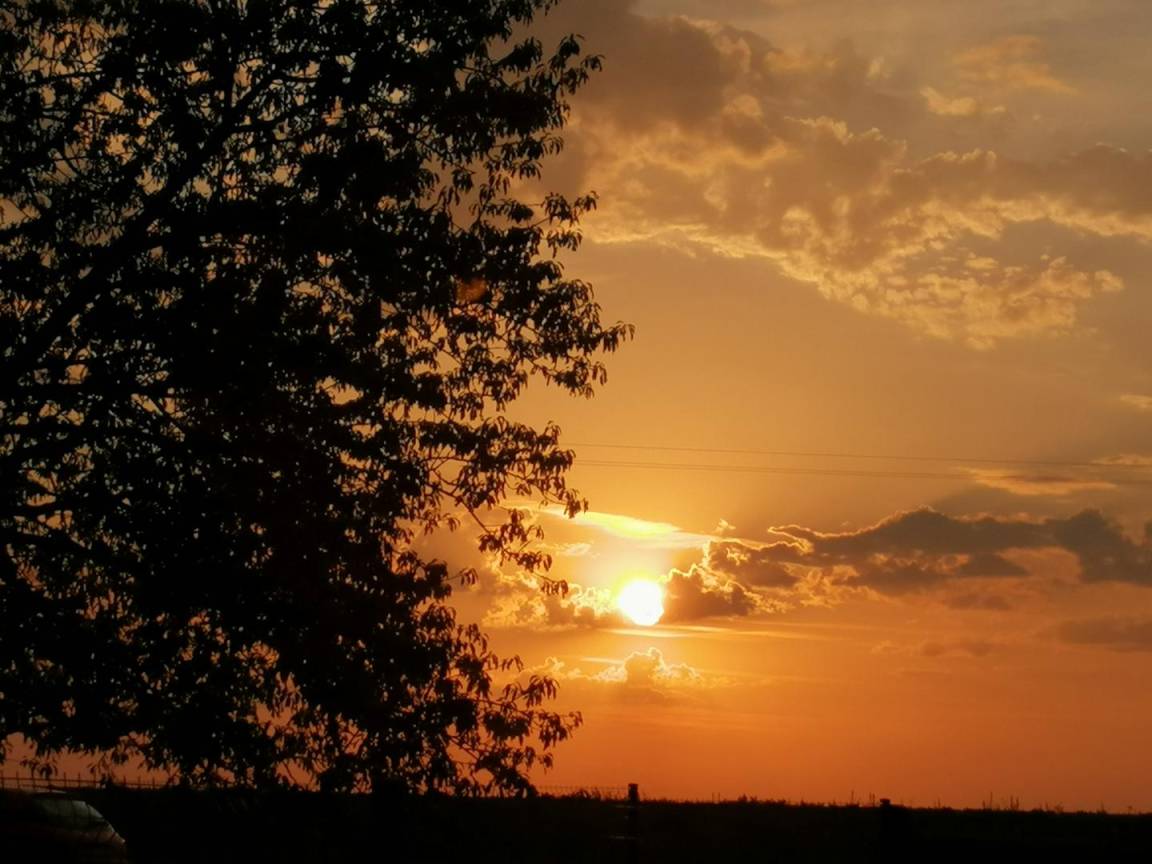 foto16
