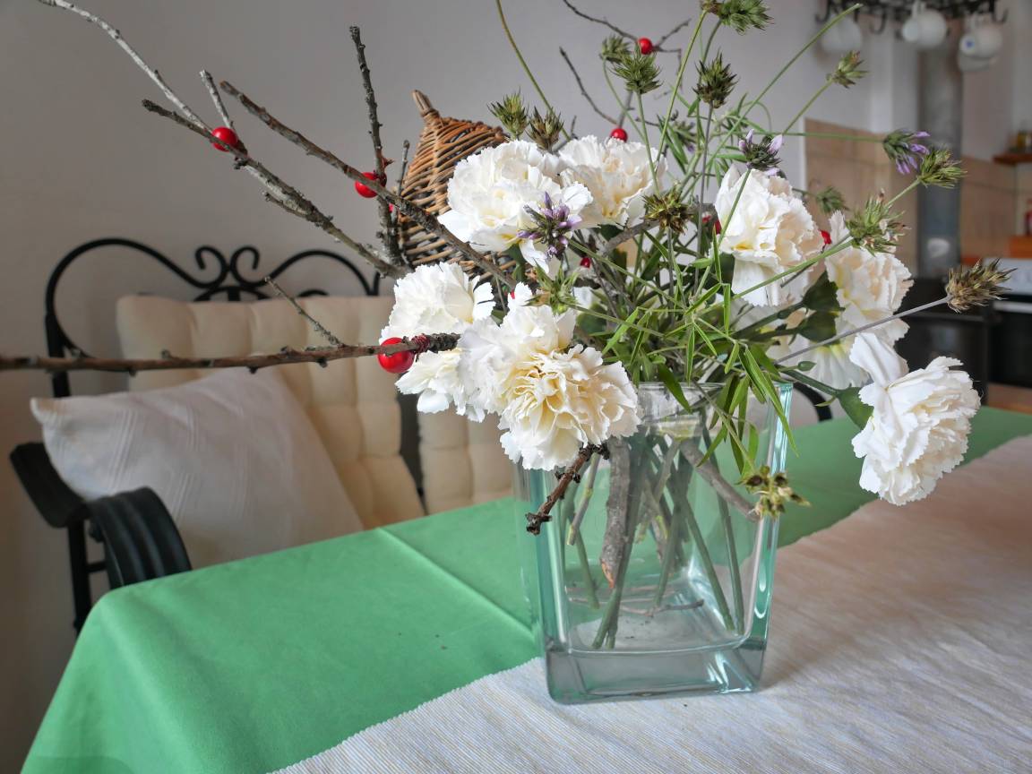 foto20