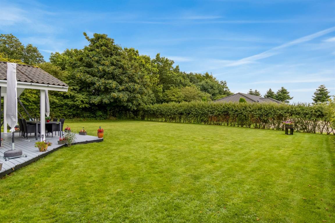 foto19