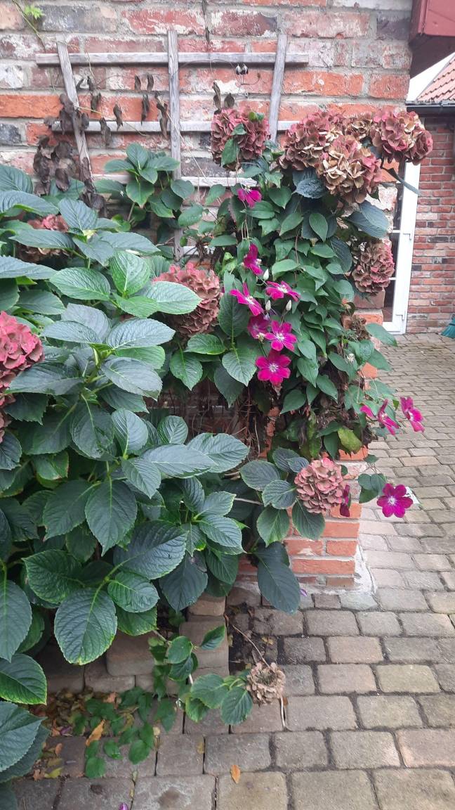 foto4
