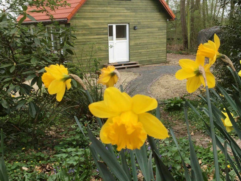 30 M² Ferienwohnung ∙ 4 Gäste - Worpswede