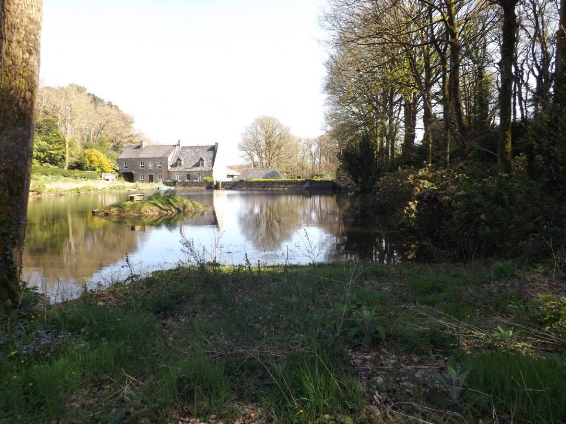 foto16